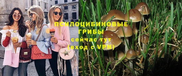 дурь Корсаков