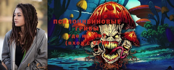 круглые Алексеевка
