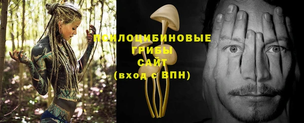 круглые Алексеевка