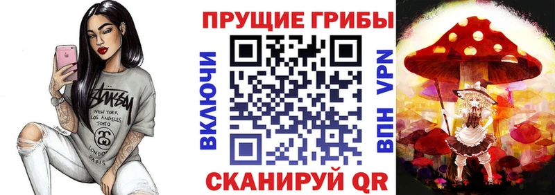 kraken рабочий сайт  Печоры  Псилоцибиновые грибы MAGIC MUSHROOMS  купить  сайты 